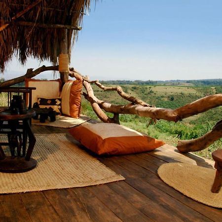 Crater Forest Tented Lodge 카라투 외부 사진