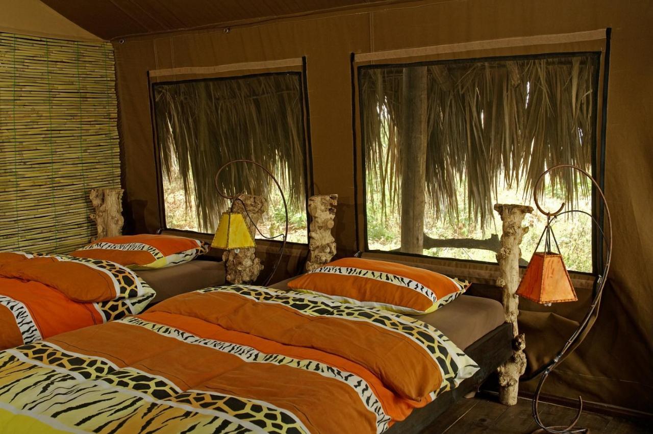 Crater Forest Tented Lodge 카라투 외부 사진