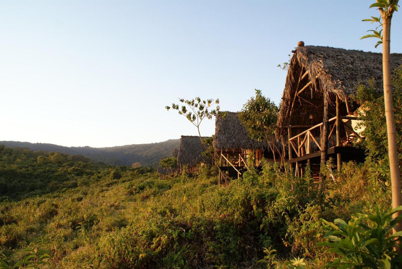 Crater Forest Tented Lodge 카라투 외부 사진